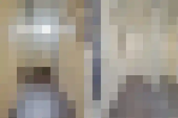 Tweede Sweelinckstraat 7 H Amsterdam thumbnail 35