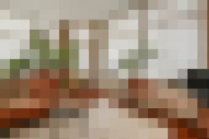 Tweede Sweelinckstraat 7 H Amsterdam thumbnail 8