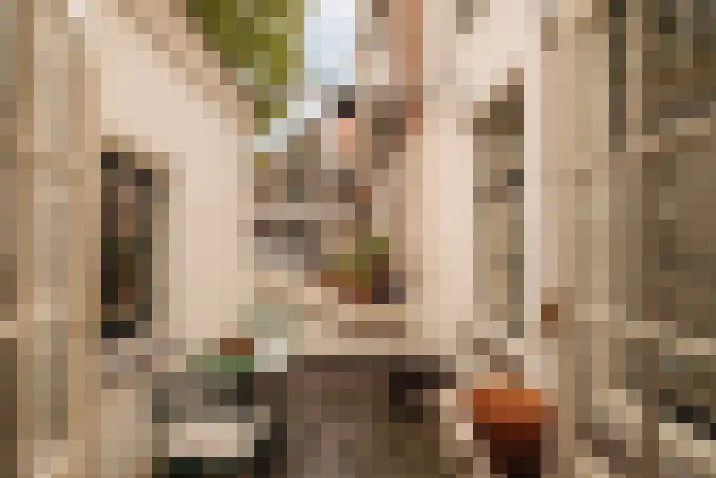 Tweede Tuindwarsstraat 12 1 Amsterdam thumbnail 27