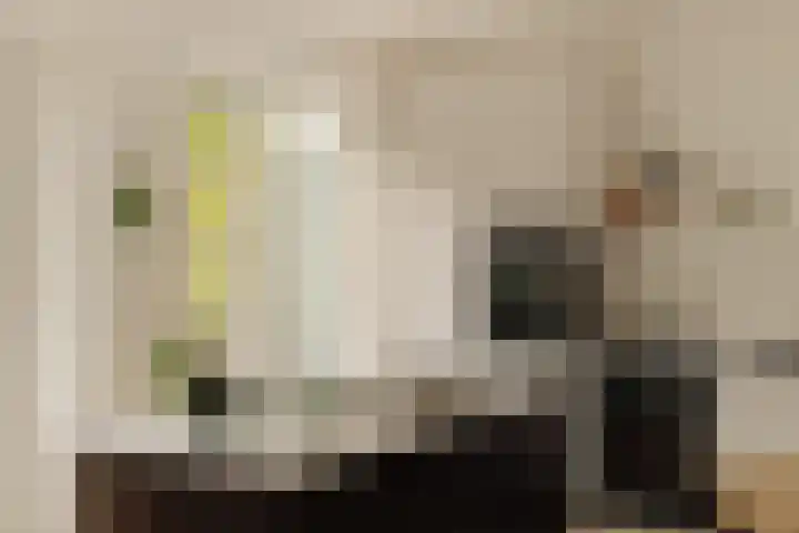 Tweede Van der Helststraat 101 1 Amsterdam thumbnail 12