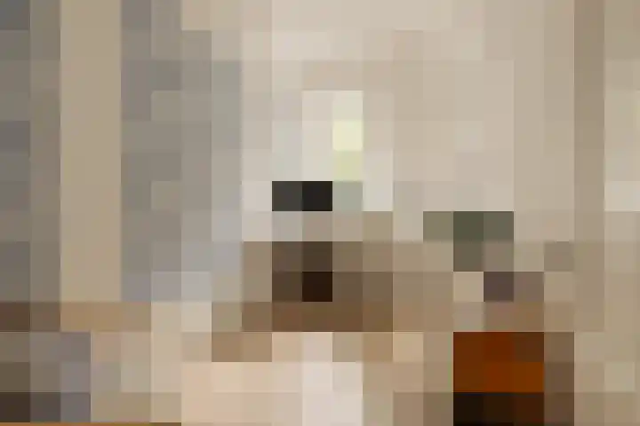 Tweede Van der Helststraat 101 1 Amsterdam thumbnail 15