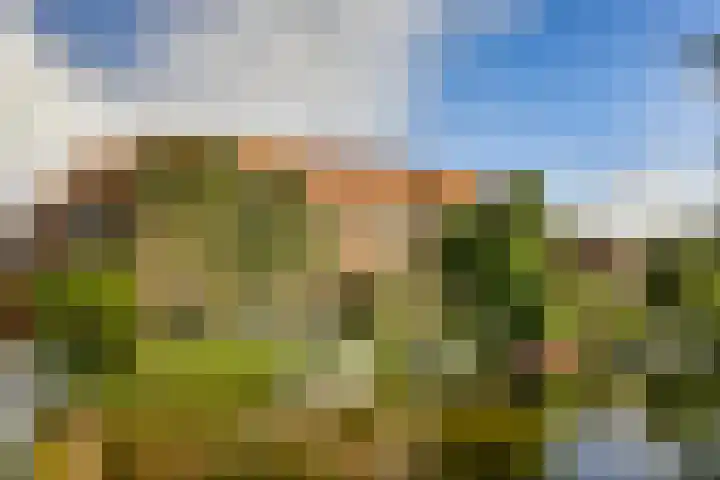 Tweede Van der Helststraat 101 1 Amsterdam thumbnail 32