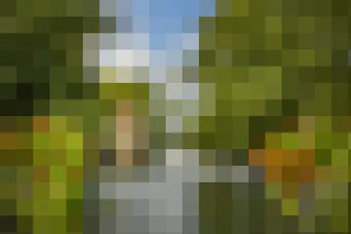 Tweede Van der Helststraat 101 1 Amsterdam thumbnail 33