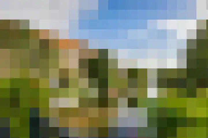 Tweede Van der Helststraat 101 1 Amsterdam thumbnail 34