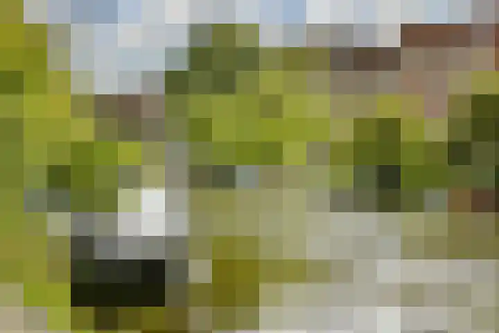 Tweede Van der Helststraat 101 1 Amsterdam thumbnail 35