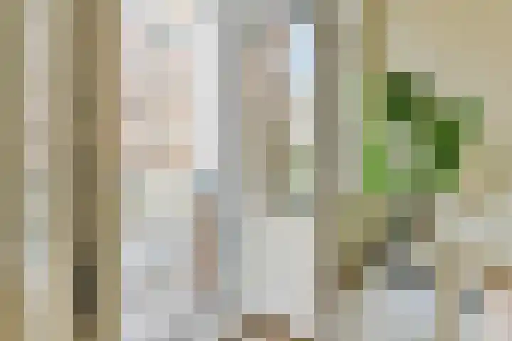 Tweede Van der Helststraat 11 1 Amsterdam thumbnail 11