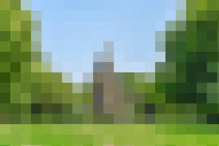 Tweede Van der Helststraat 11 1 Amsterdam thumbnail 31