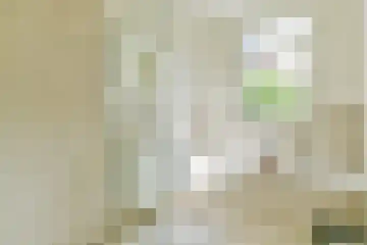 Tweede Van der Helststraat 11 1 Amsterdam thumbnail 7