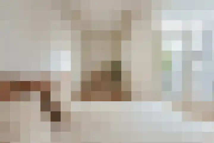 Tweede Van der Helststraat 11 3 Amsterdam thumbnail 14