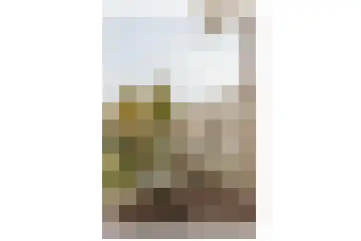 Tweede Van der Helststraat 11 3 Amsterdam thumbnail 16