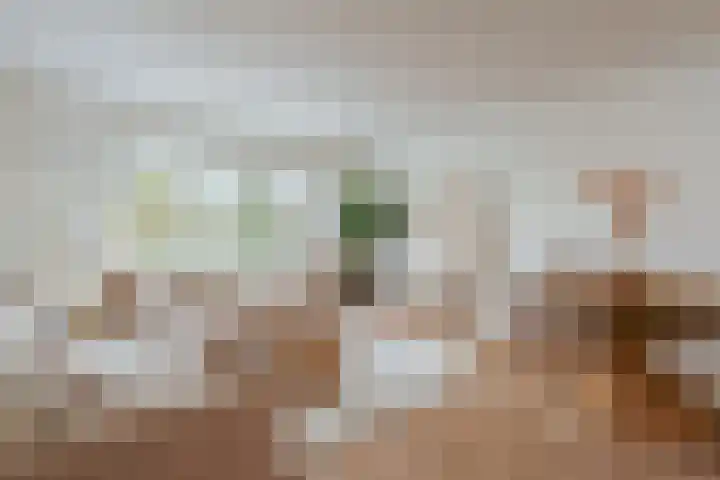 Tweede Van der Helststraat 11 3 Amsterdam thumbnail 18