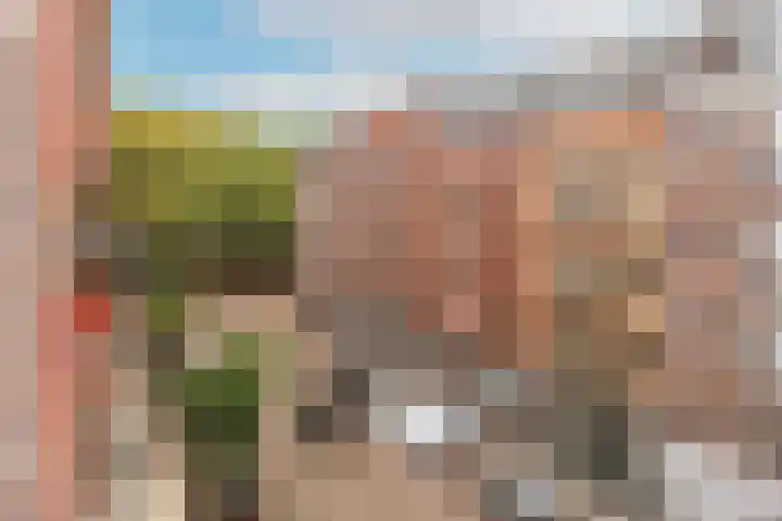 Tweede Van der Helststraat 11 3 Amsterdam thumbnail 30