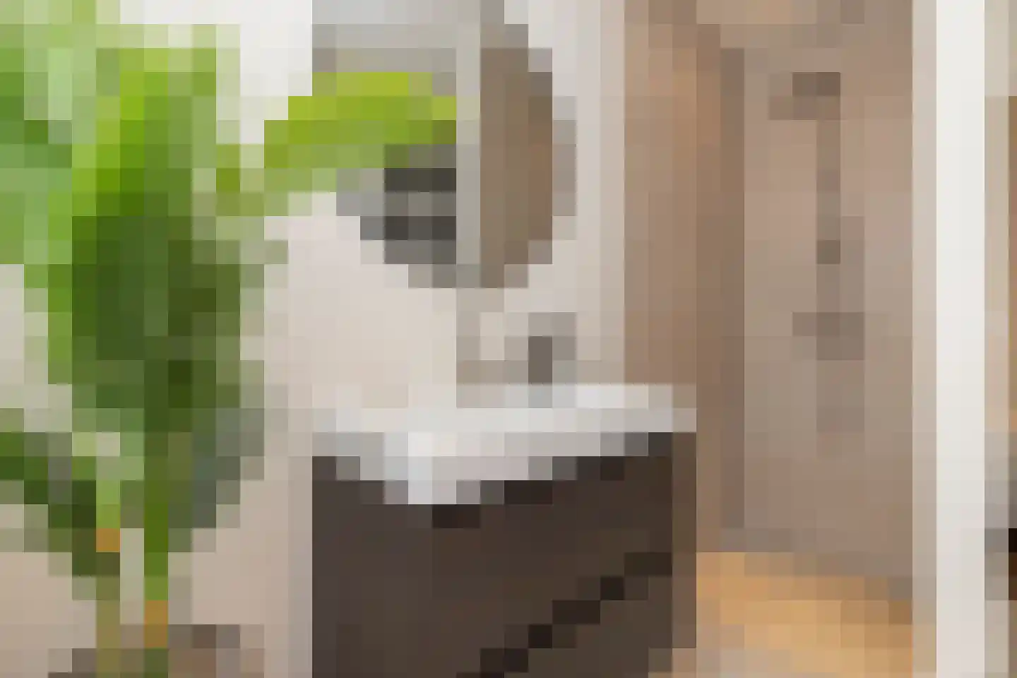 Tweede Van der Helststraat 12 2 Amsterdam thumbnail 12