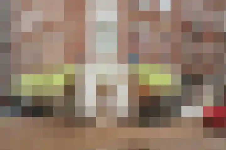 Tweede Van der Helststraat 12 2 Amsterdam thumbnail 23