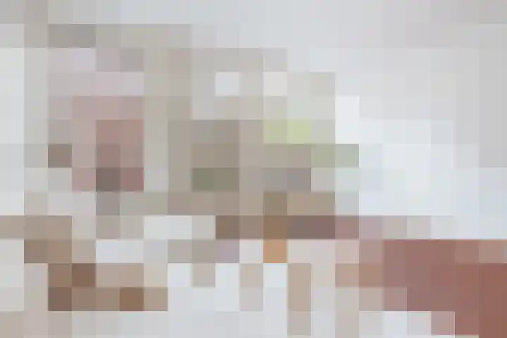 Tweede Van der Helststraat 12 2 Amsterdam thumbnail 6