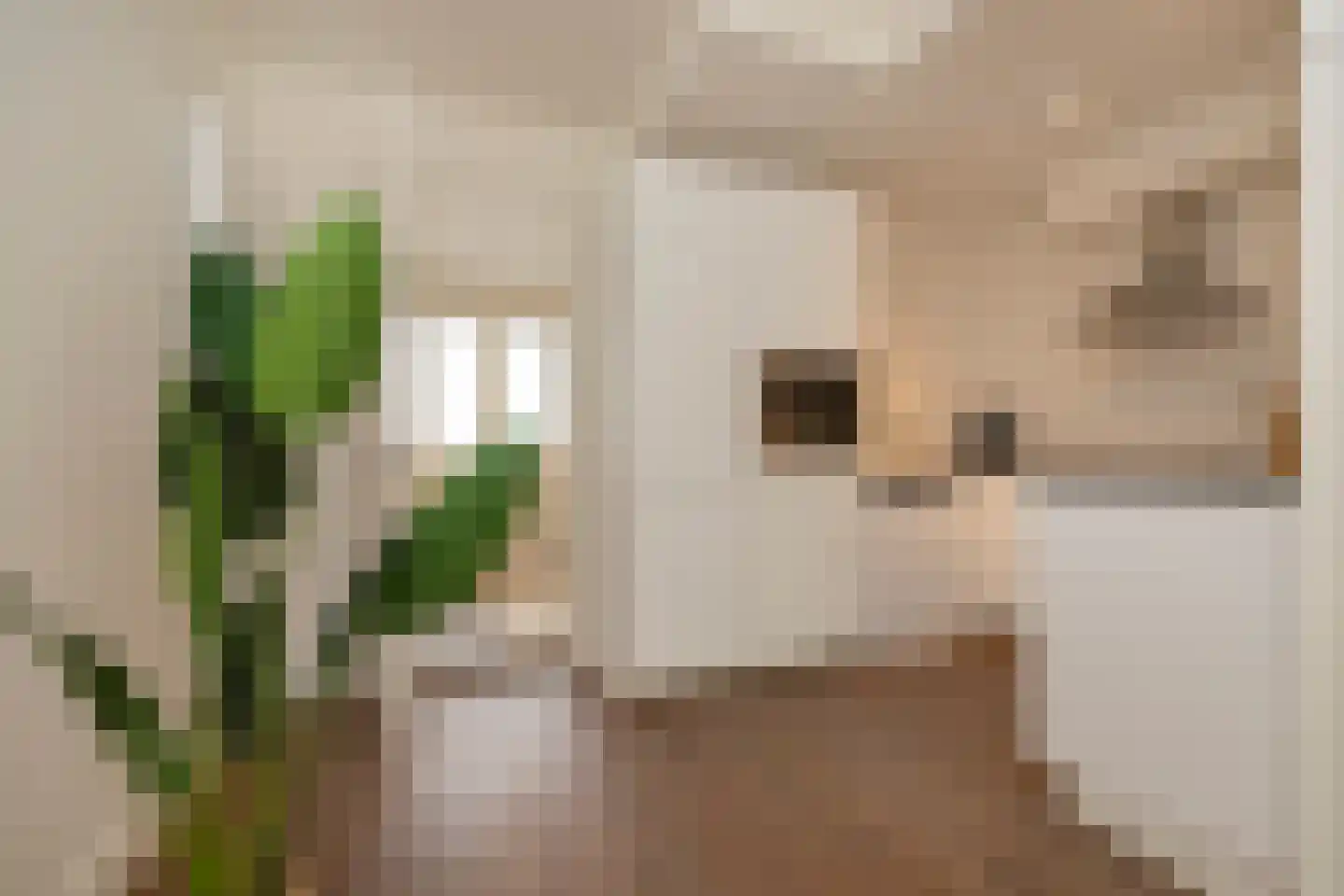 Tweede Van der Helststraat 12 2 Amsterdam thumbnail 7