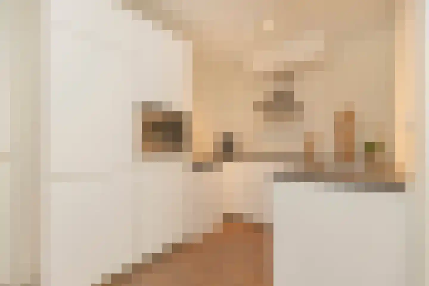 Tweede Van der Helststraat 12 2 Amsterdam thumbnail 8
