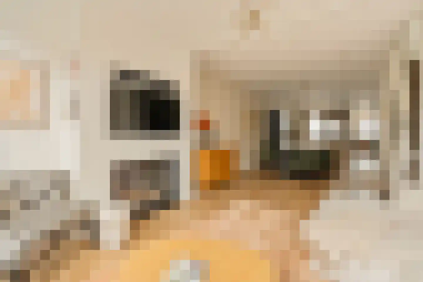 Tweede Van der Helststraat 12 3 Amsterdam thumbnail 13
