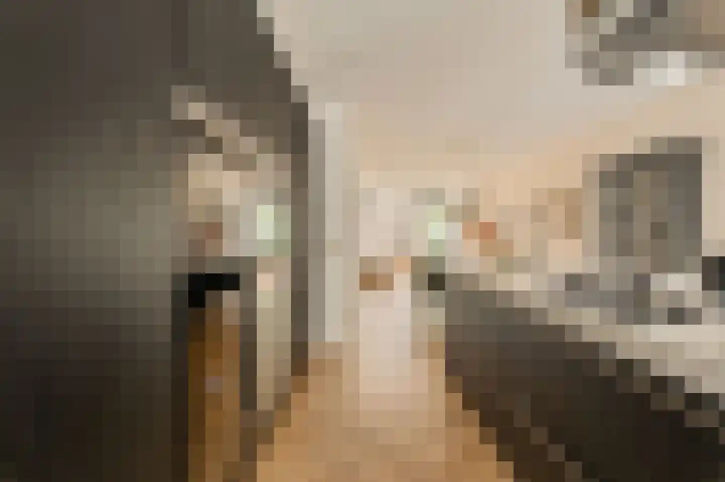 Tweede Van der Helststraat 12 3 Amsterdam thumbnail 16