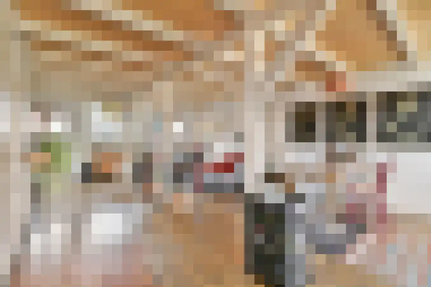 Tweede Van der Helststraat 15 1 Amsterdam thumbnail 56