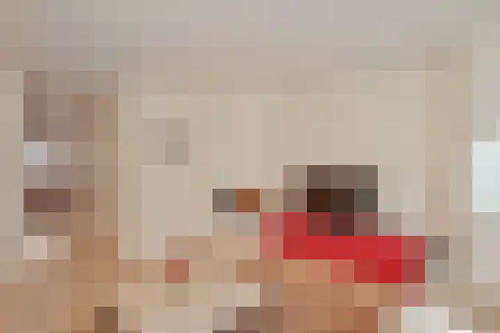 Tweede Van der Helststraat 22 1 Amsterdam thumbnail 8