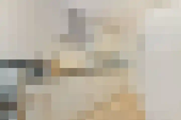 Tweede Van der Helststraat 22 1 Amsterdam thumbnail 9