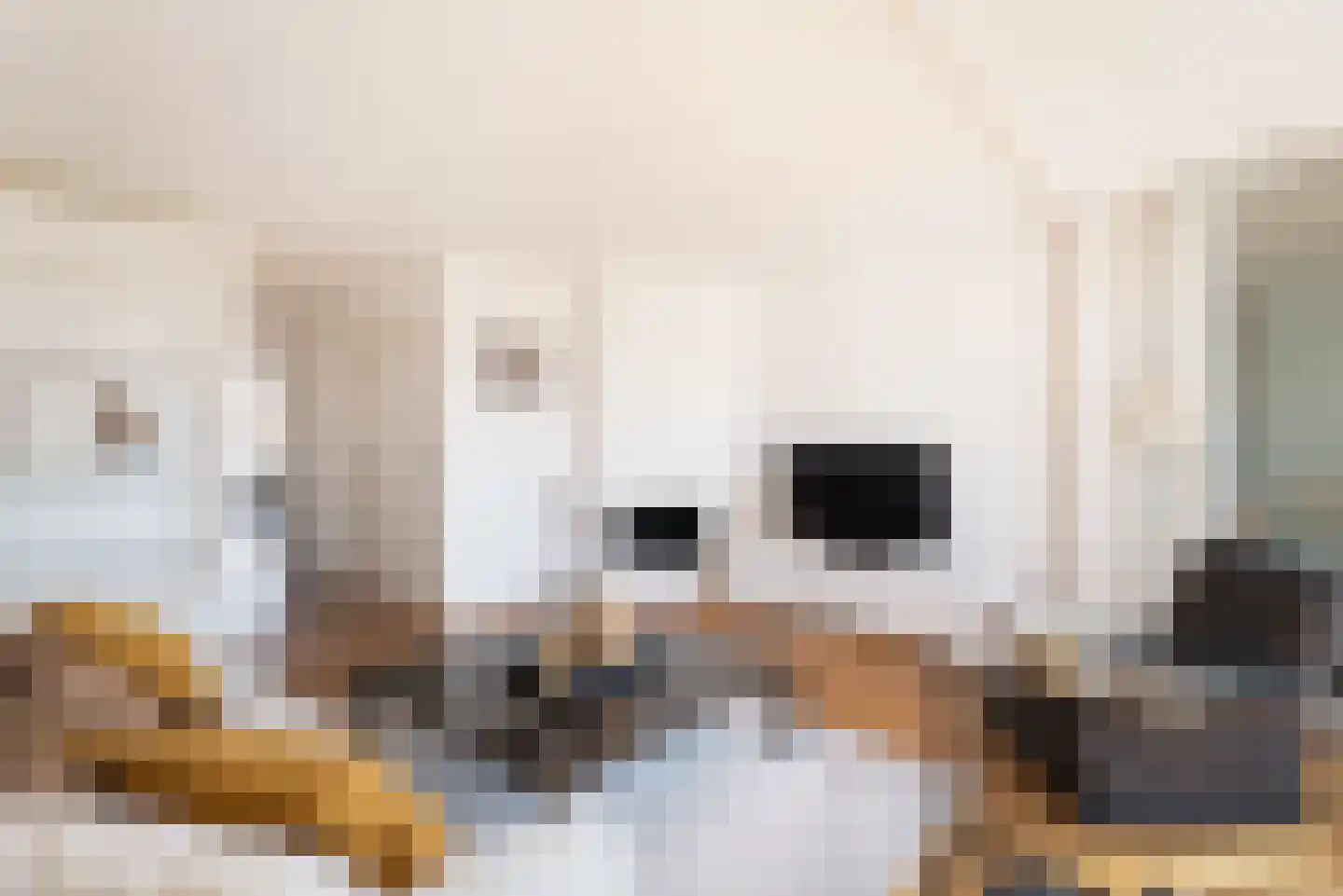 Tweede Van der Helststraat 22 4 Amsterdam thumbnail 5