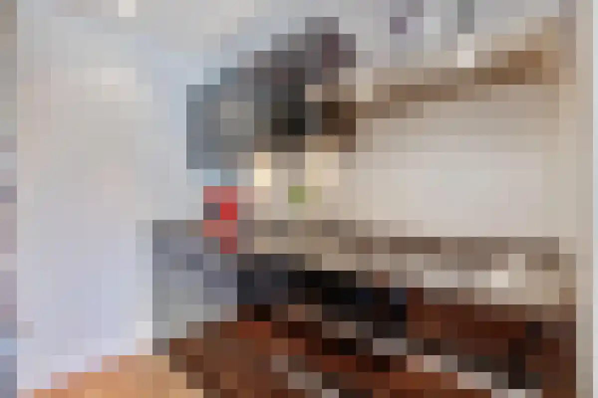 Tweede Van der Helststraat 22 Amsterdam thumbnail 5