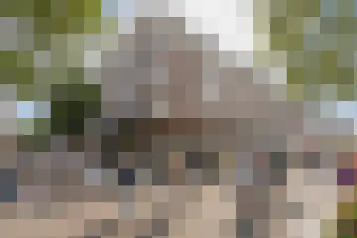 Tweede Van der Helststraat 24 3 Amsterdam thumbnail 26