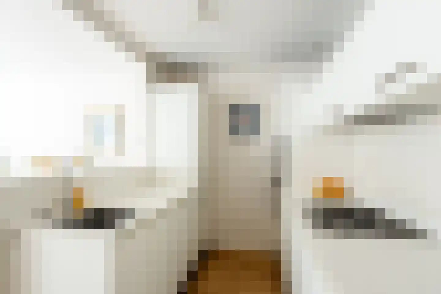 Tweede Van der Helststraat 28 1 Amsterdam thumbnail 16