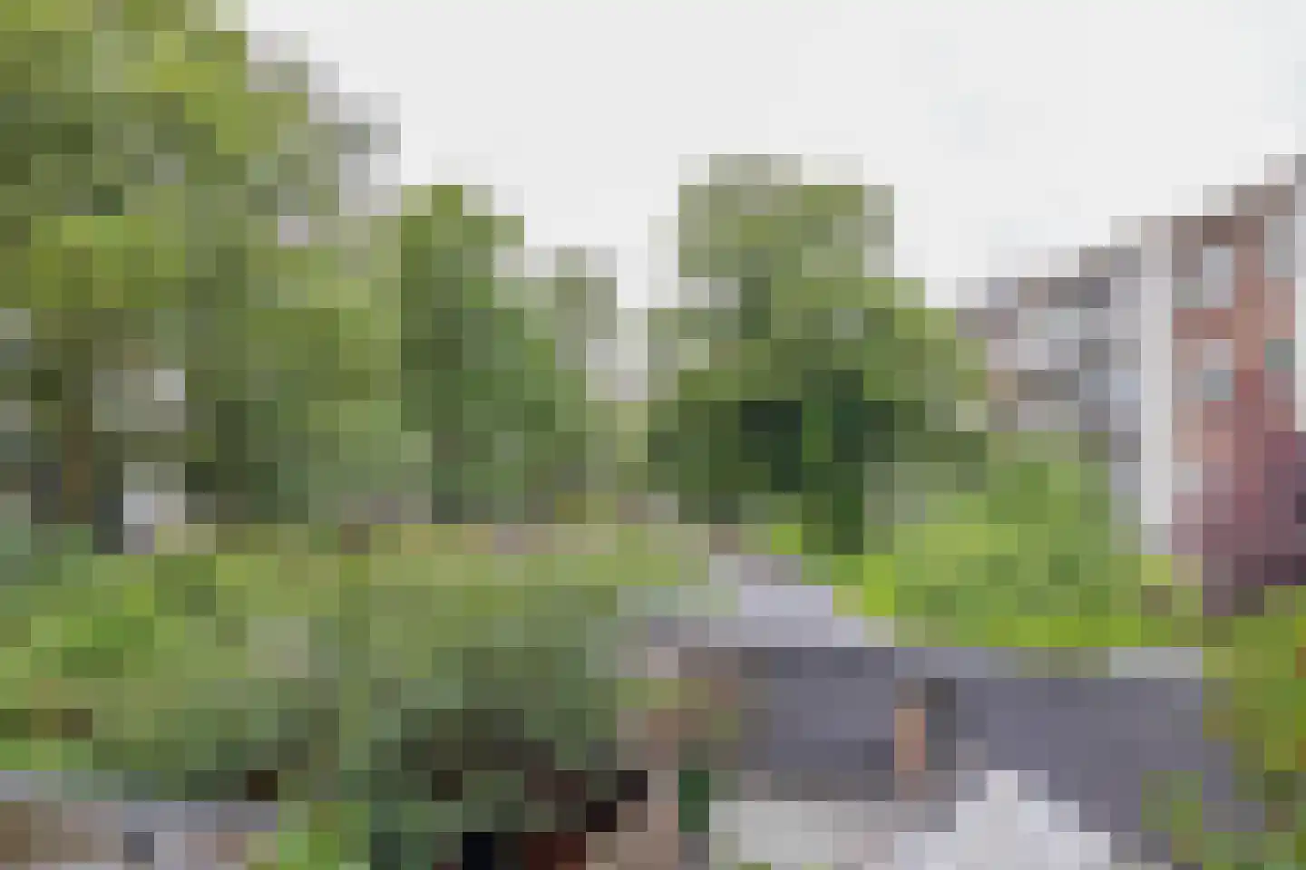 Tweede Van der Helststraat 44 1 Amsterdam thumbnail 19