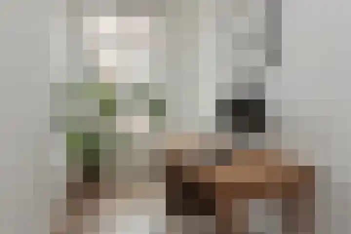 Tweede Van der Helststraat 6 1 Amsterdam thumbnail 10