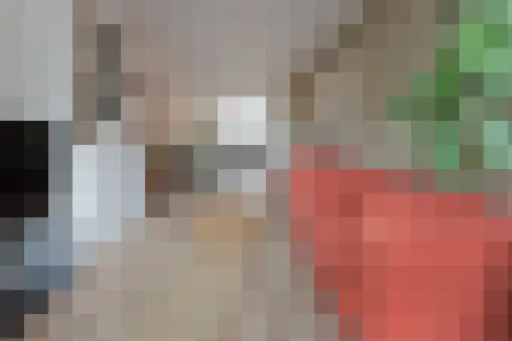 Tweede Van der Helststraat 6 1 Amsterdam thumbnail 5