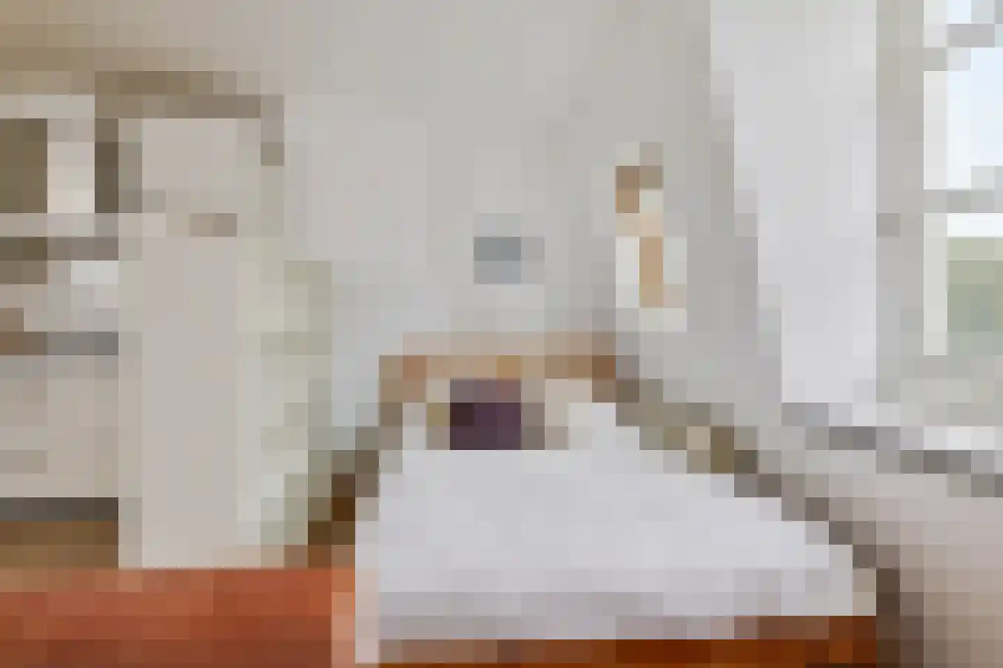 Tweede Van der Helststraat 6 4 Amsterdam thumbnail 13