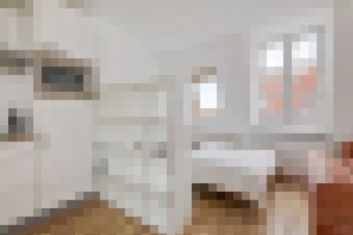Tweede Van der Helststraat 6 4 Amsterdam thumbnail 6
