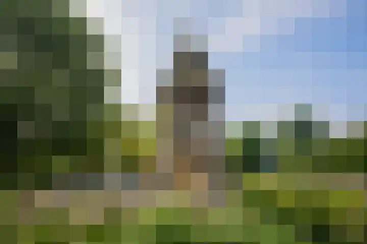 Tweede Van der Helststraat 81 1 Amsterdam thumbnail 25