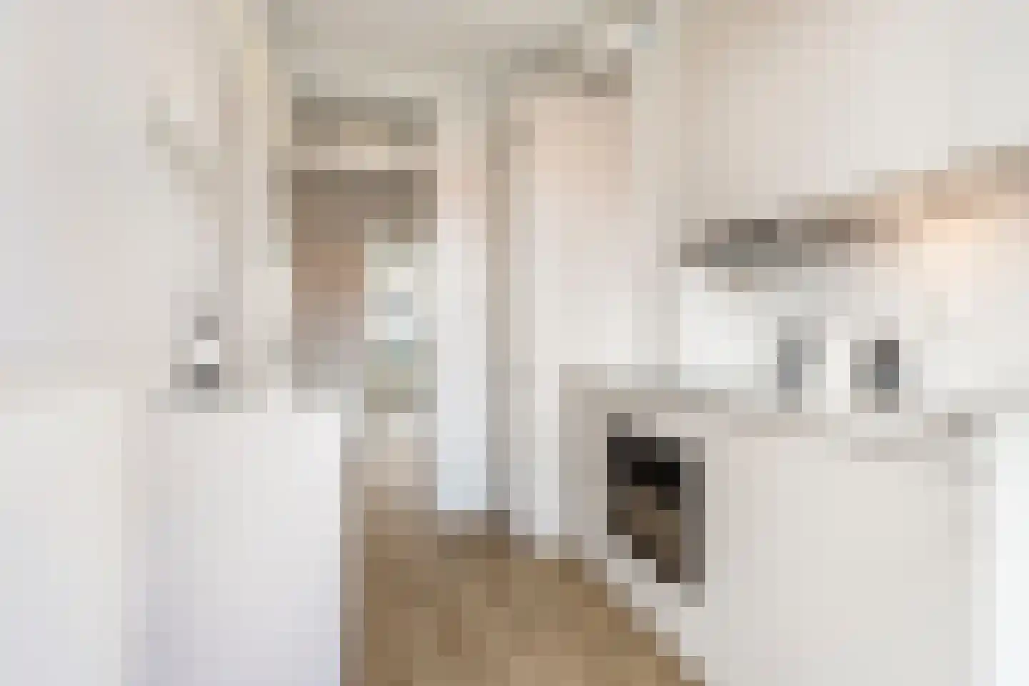 Tweede Van der Helststraat 87 3 Amsterdam thumbnail 15