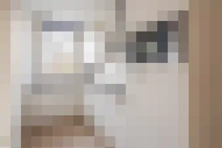 Tweede Van der Helststraat 9 3 Amsterdam thumbnail 8
