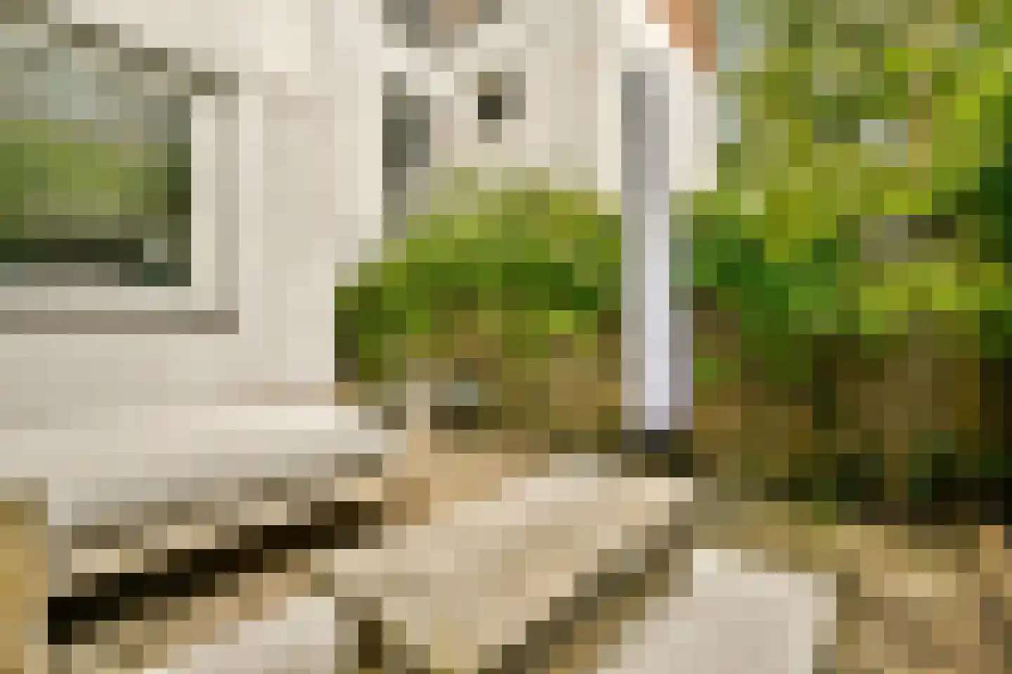 Tweede van Swindenstraat 186 2 Amsterdam thumbnail 12