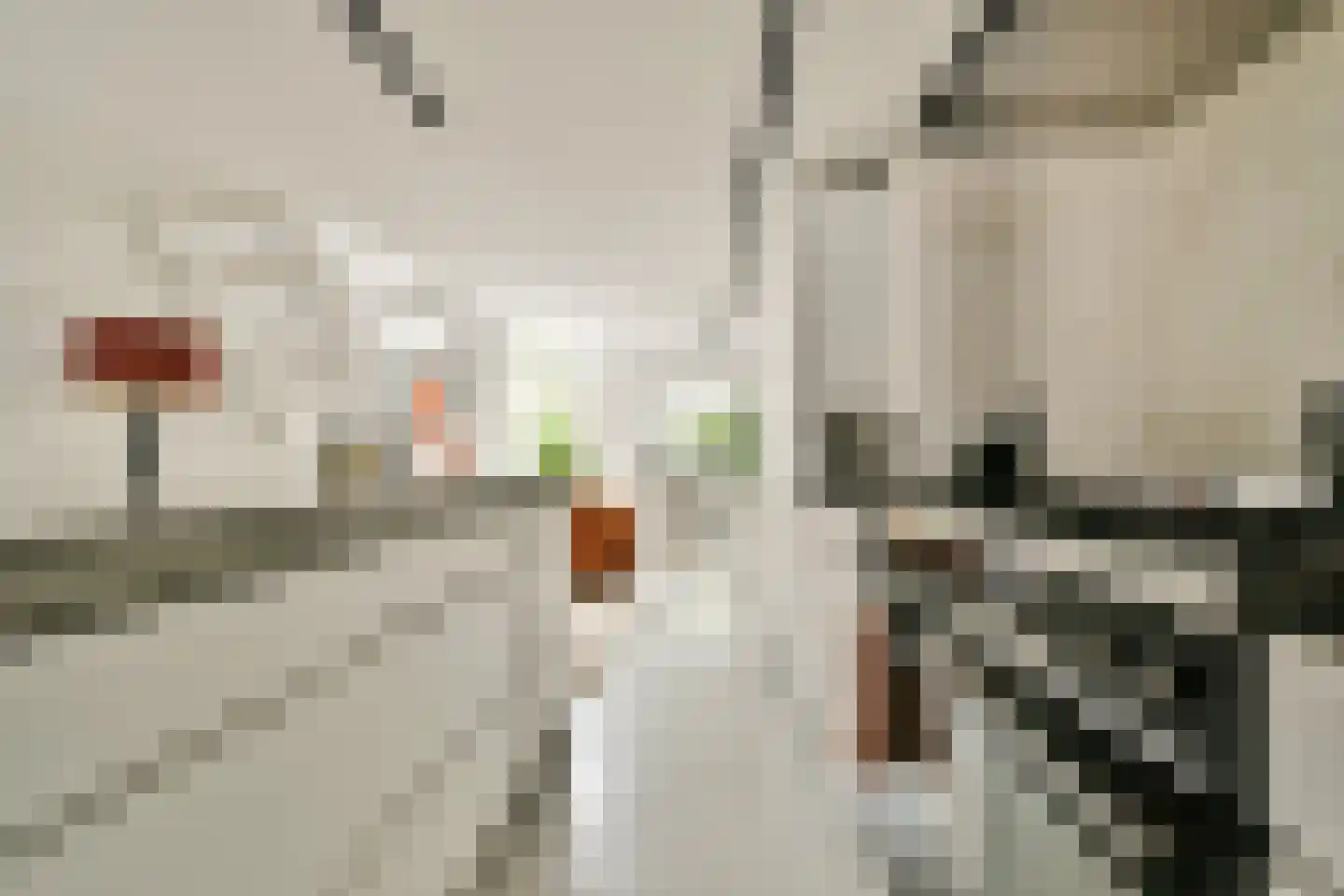 Tweede van Swindenstraat 186 2 Amsterdam thumbnail 7