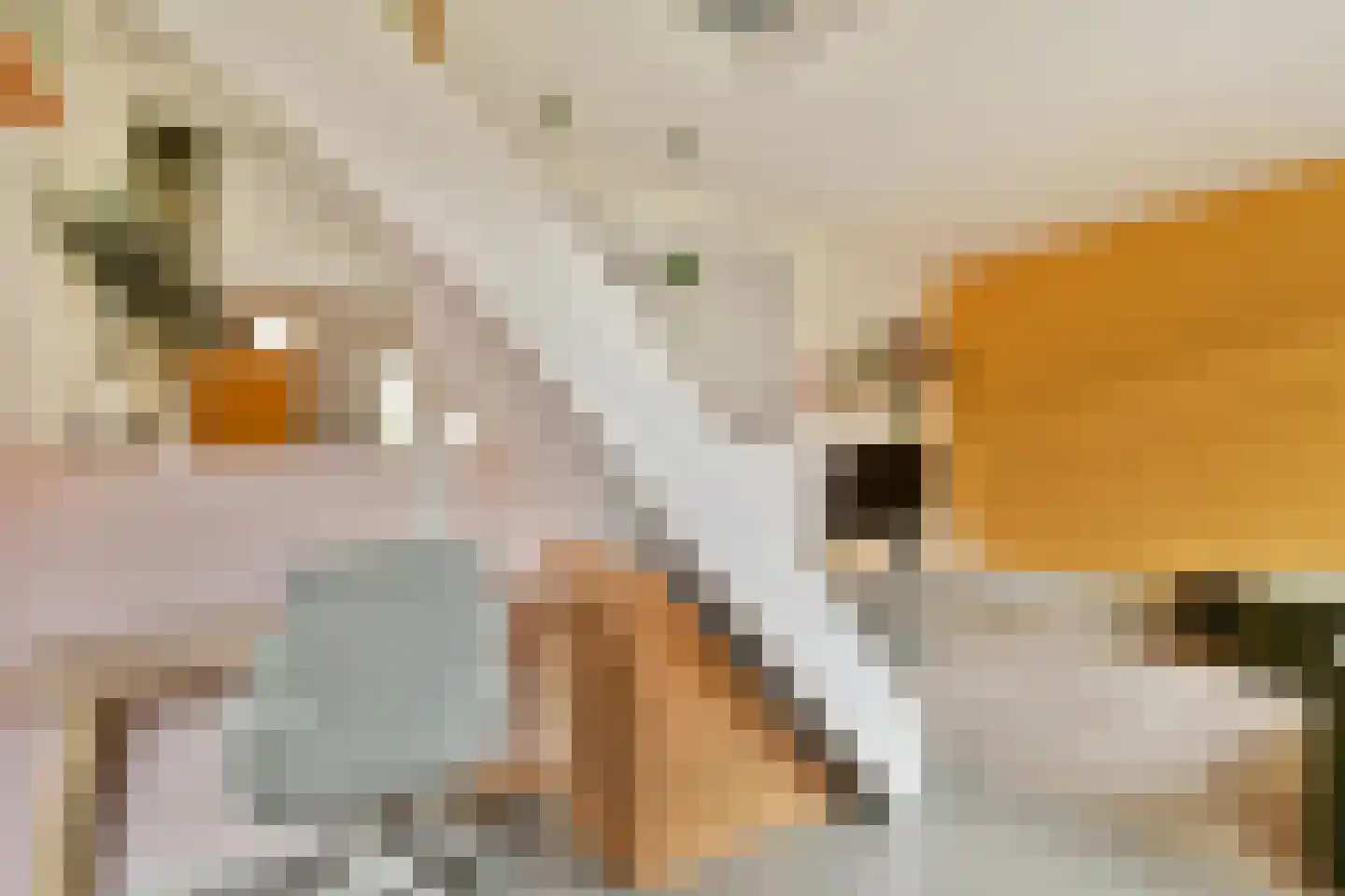 Tweede Vogelstraat 6 Amsterdam thumbnail 12