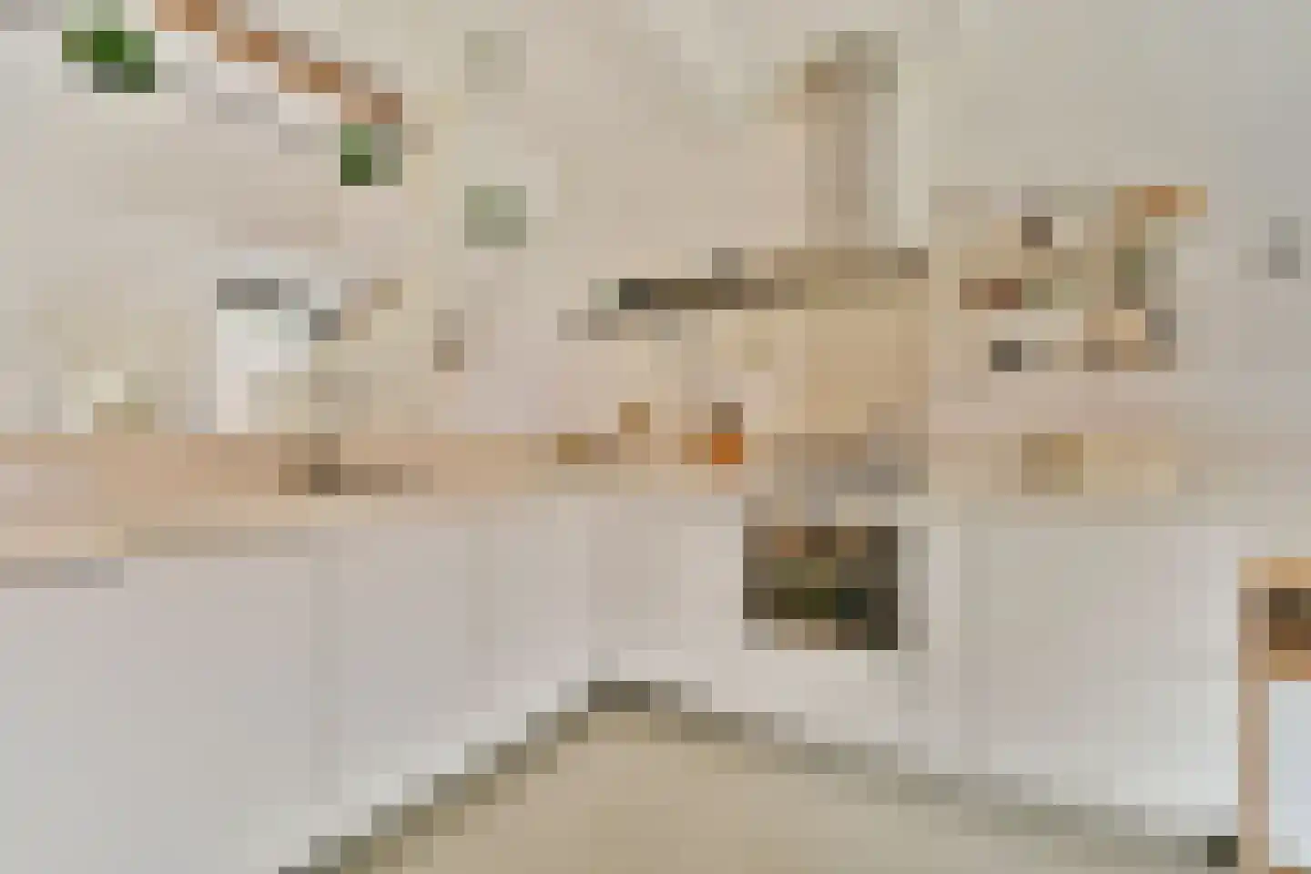Tweede Vogelstraat 6 Amsterdam thumbnail 4