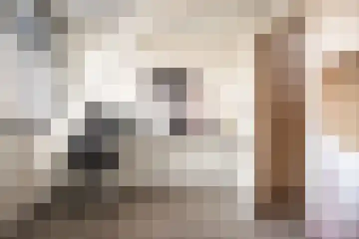 Tweede Vooruitgangstraat 10 Haarlem thumbnail 37