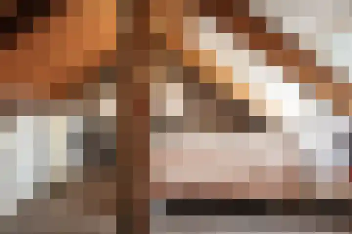 Tweede Vooruitgangstraat 10 Haarlem thumbnail 38