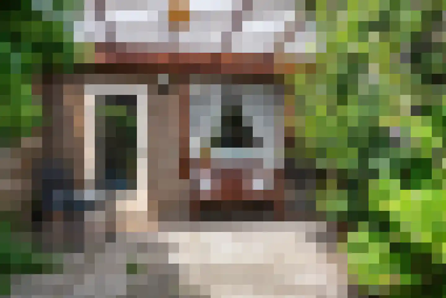 Tweede Vooruitgangstraat 42 Haarlem thumbnail 31