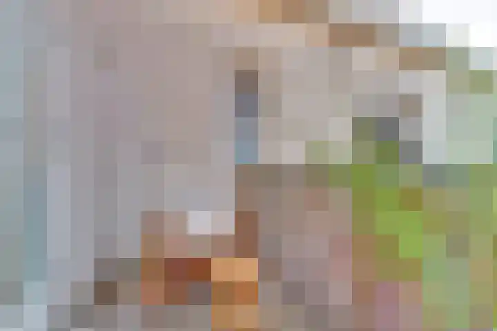 Tweede Walstraat 31 B Nijmegen thumbnail 4