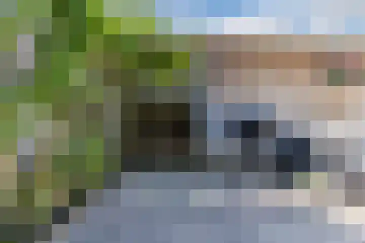 Tweede Westerparklaan 128 Utrecht thumbnail 11