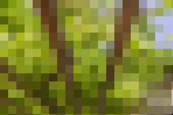 Tweede Westerparklaan 128 Utrecht thumbnail 12
