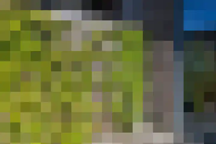 Tweede Westerparklaan 128 Utrecht thumbnail 17