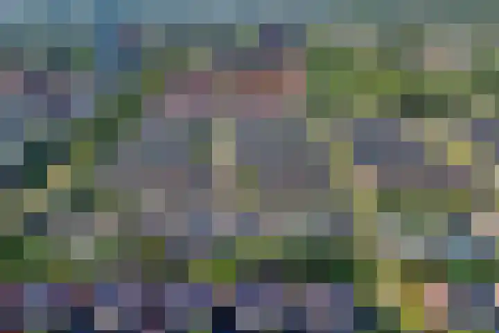 Tweede Westerparklaan 128 Utrecht thumbnail 49